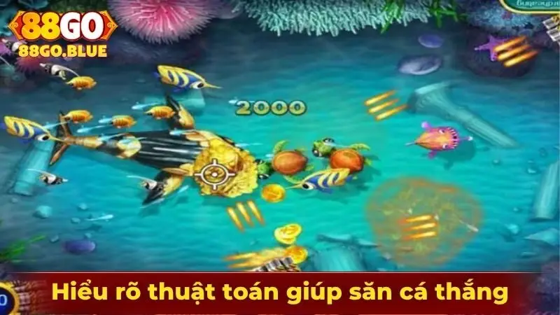 Hiểu rõ thuật toán giúp tham gia săn cá nhận thưởng lớn